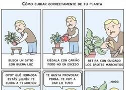 Enlace a Un manual de jardinería con giro inesperado
