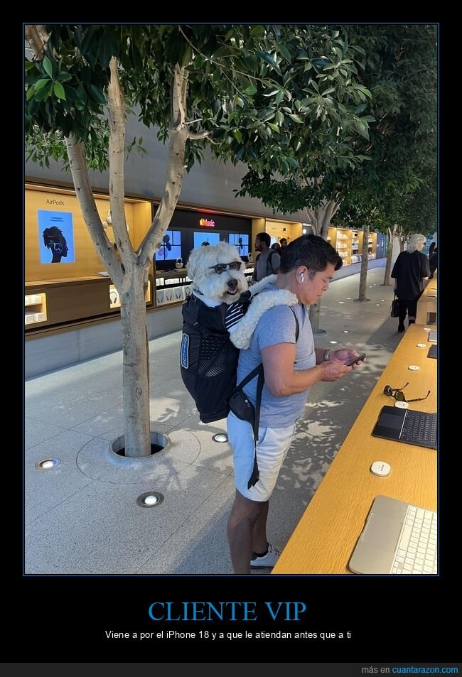 perro,AppleStore,gafas,mascota,tecnolog&iacute;a