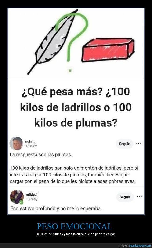 plumas,ladrillos,culpa,reflexi&oacute;n,aves