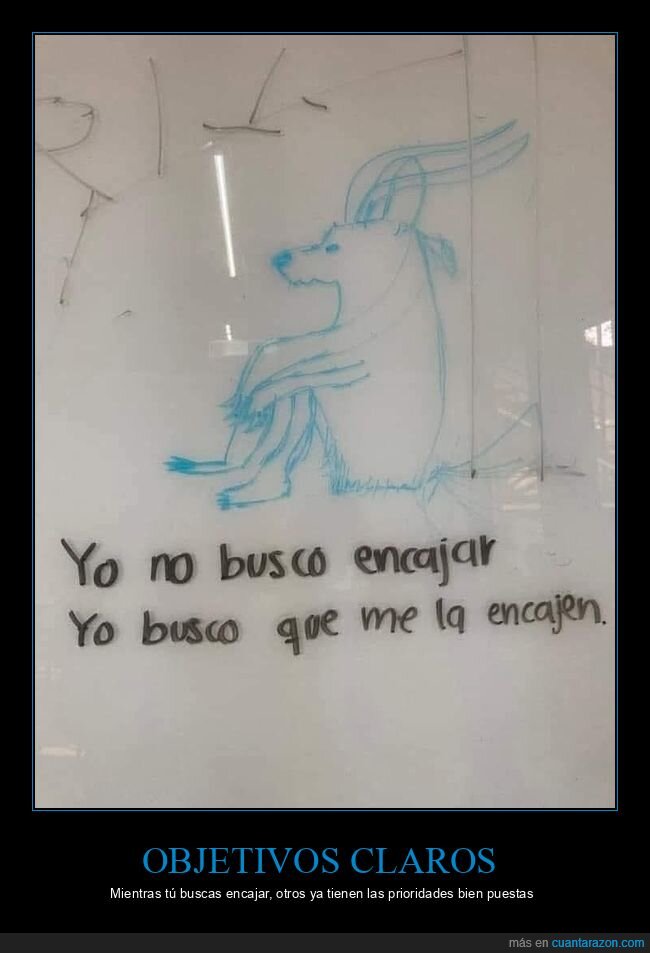 pizarra,dibujo,doble sentido,oficina,ingenio