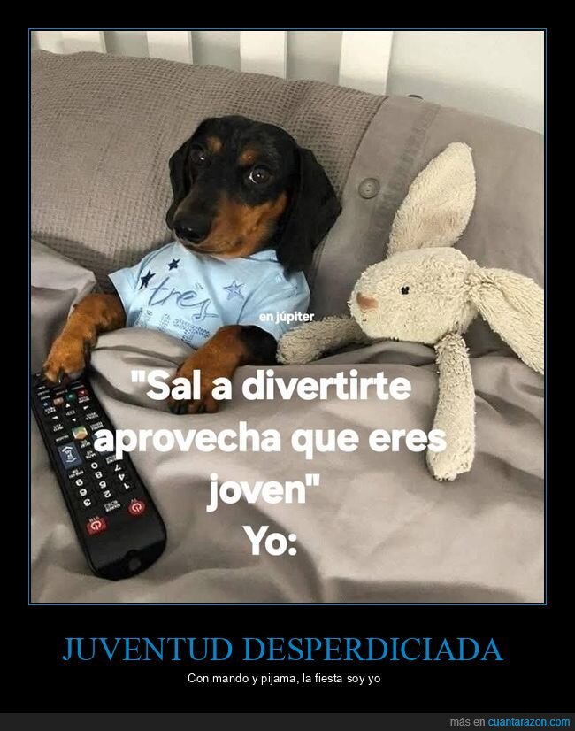 perro,pereza,mando,cama,introvertido