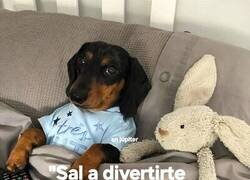 Enlace a Con mando y pijama, la fiesta soy yo