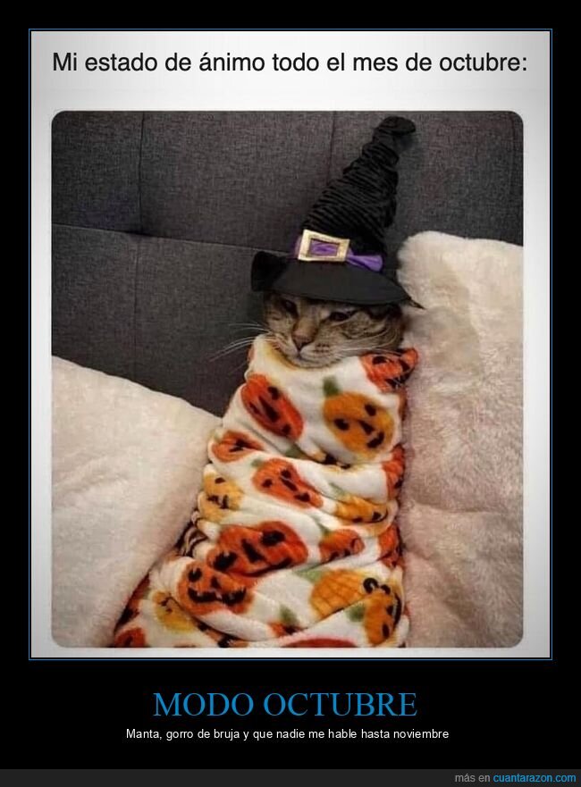gatos,halloween,octubre,manta,oto&ntilde;o