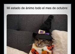 Enlace a Manta, gorro de bruja y que nadie me hable hasta noviembre