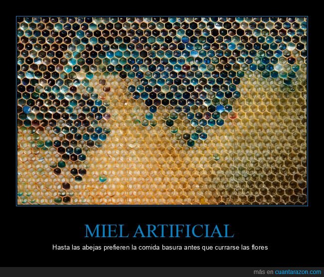 abejas,miel,M&M,colmena,contaminaci&oacute;n