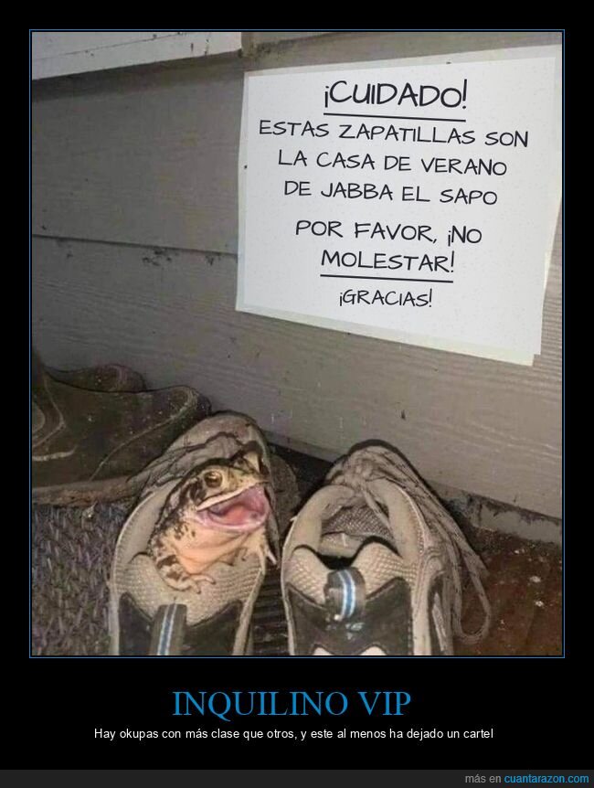 sapo,zapatillas,cartel,okupa,star wars