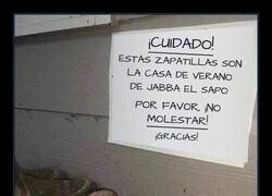 Enlace a Unas zapatillas con inquilino ilustre