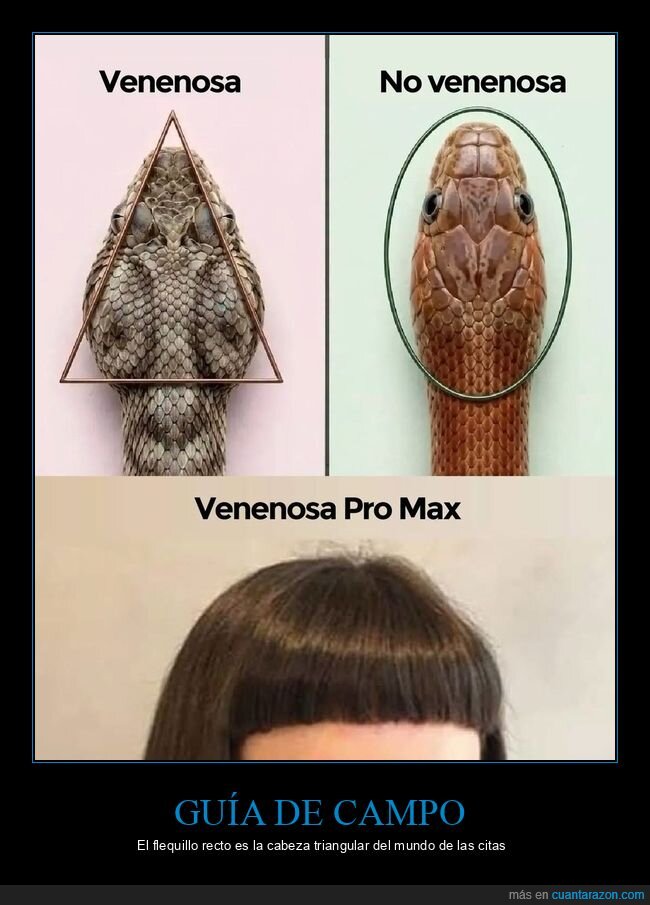 serpientes,flequillo,venenosa,citas,chicas