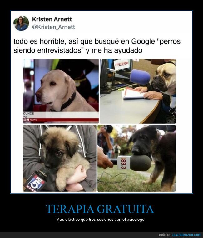 perros,entrevistas,ternura,terapia