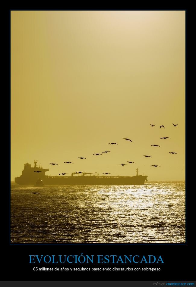 pel&iacute;canos,atardecer,petrolero,migraci&oacute;n,siluetas