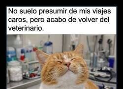 Enlace a VIAJES DE LUJO