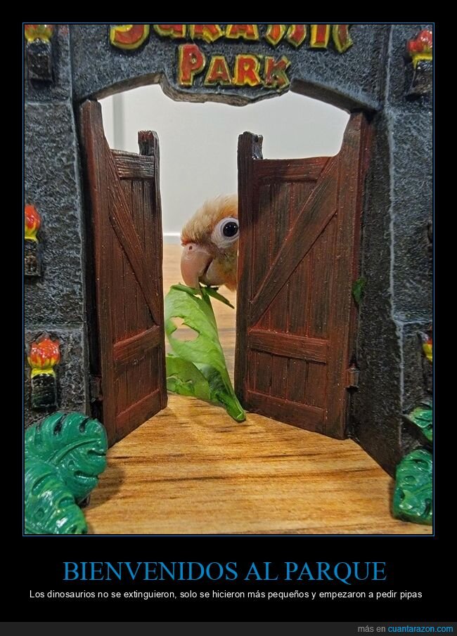 loros,jurassic park,dinosaurios,animales,cine