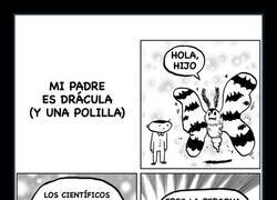 Enlace a El cariño de un padre muy especial