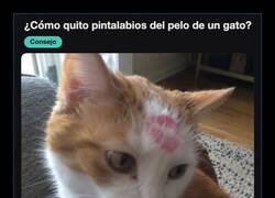 Enlace a Una pregunta que deja demasiadas cosas al descubierto