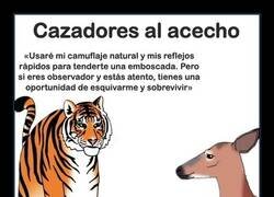 Enlace a Los dos tipos de cazadores de la naturaleza