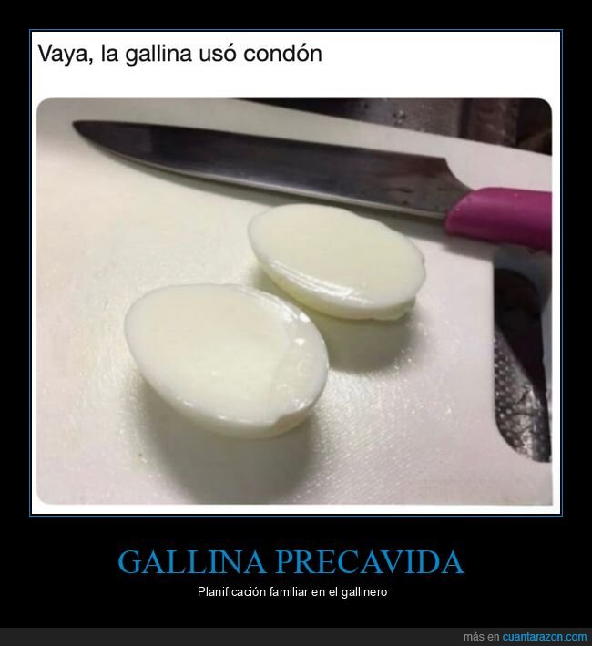 huevos,gallinas,comida,cocina