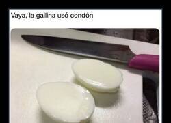 Enlace a Una gallina con mucha cabeza