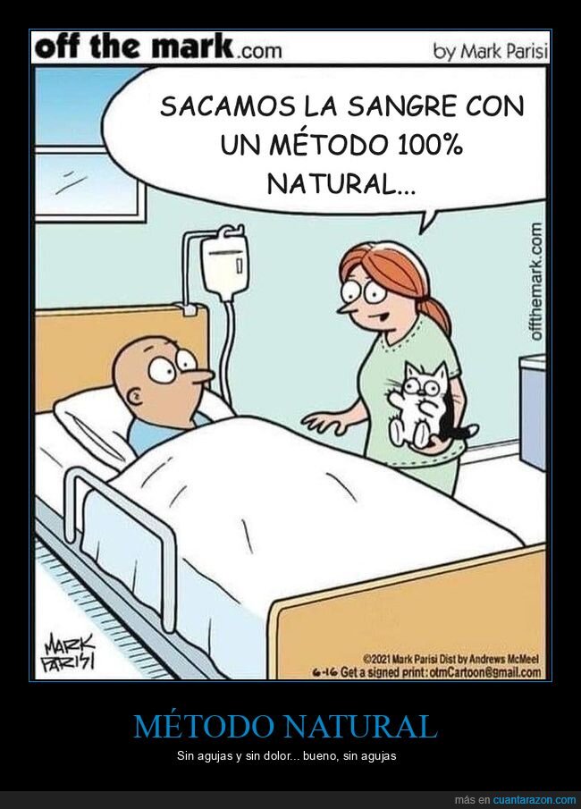 hospital,gatos,enfermera,sangre,c&oacute;mic