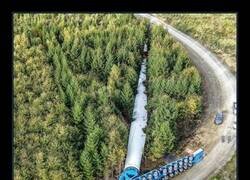 Enlace a Transportar una pala de aerogenerador por el bosque