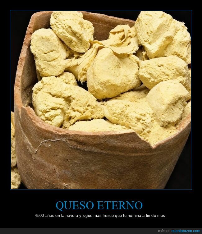 queso,Saqqara,arqueolog&iacute;a,Egipto,conservaci&oacute;n