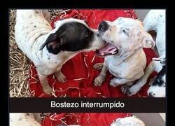 Enlace a Un amigo que no respeta ni tu espacio personal ni tus bostezos