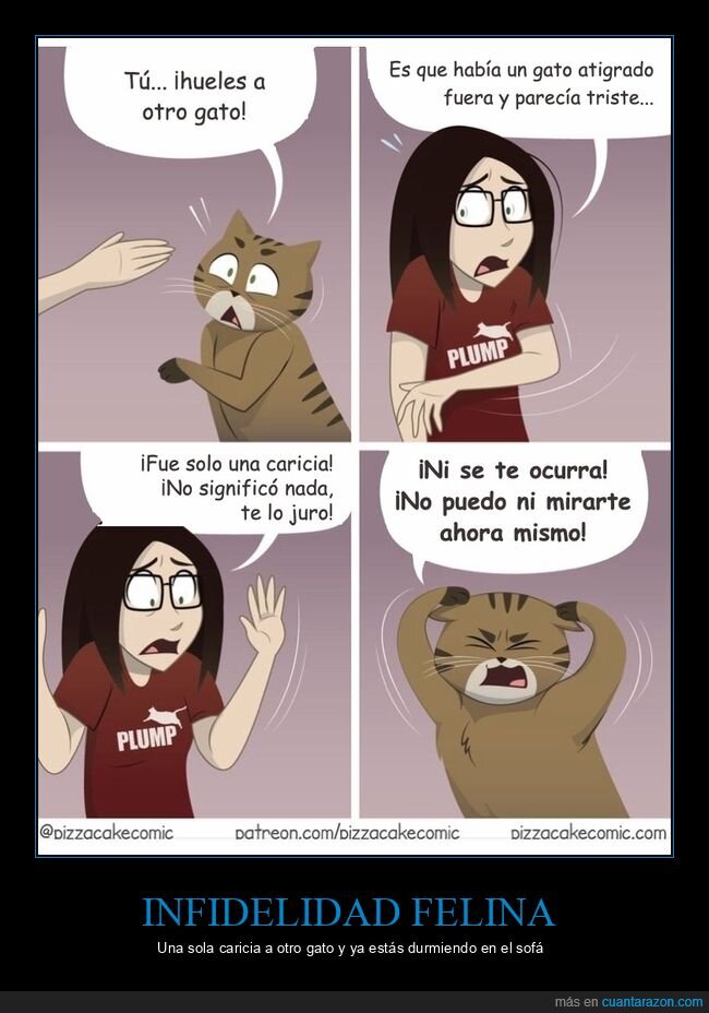 gatos,celos,mascotas,c&oacute;mic
