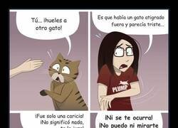 Enlace a Cuando tu gato descubre que te has hecho amiga de otro