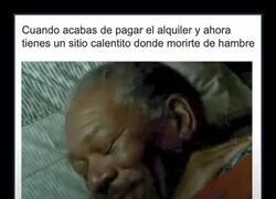 Enlace a El único sitio calentito después de pagar el alquiler