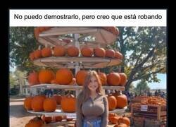 Enlace a La sospechosa de siempre en el huerto de calabazas