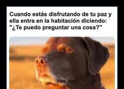 Enlace a Fin de la paz en tres, dos, uno...