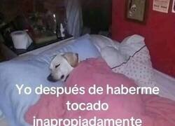 Enlace a Lo que dura el placer y lo que dura la culpa