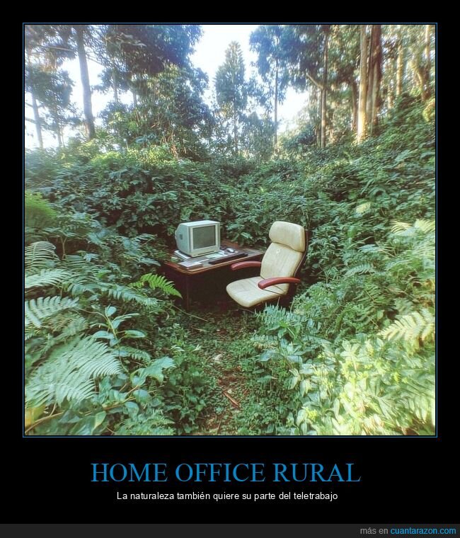 naturaleza,teletrabajo,oficina,abandono,bosque