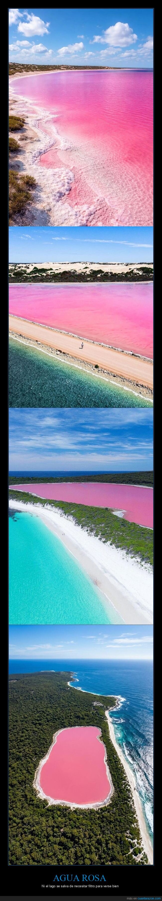 LagoHillier,Australia,rosa,naturaleza,paisaje