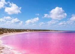 Enlace a El lago Hillier, en Australia, es completamente rosa