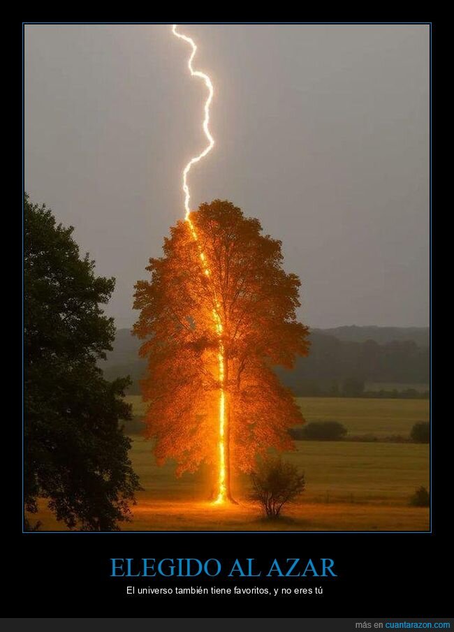 rayo,&aacute;rbol,tormenta,naturaleza,Moorefield