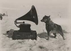 Enlace a Un perro escuchando un gramófono en la expedición de Scott a la Antártida (1911)