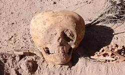 Enlace a Una calavera de forma bulbosa encontrada en una antigua urna funeraria