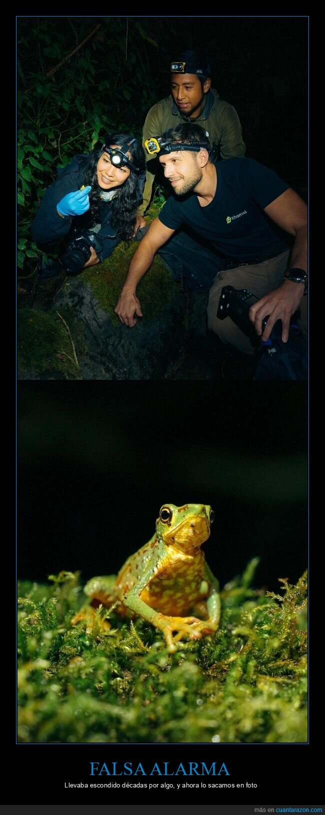 sapo,Ecuador,extinci&oacute;n,anfibio,conservaci&oacute;n