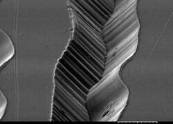Enlace a Así se ve el surco de un disco de vinilo al microscopio electrónico