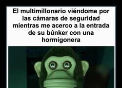 Enlace a El multimillonario mirándote por las cámaras del búnker