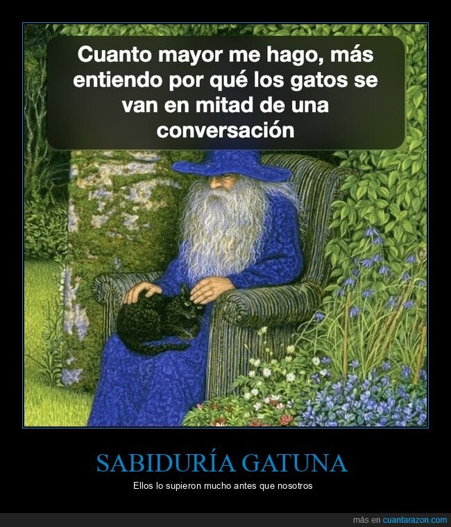gatos,conversaciones,edad,mago,sabidur&iacute;a
