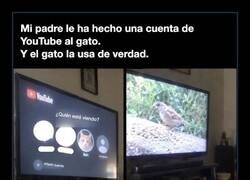 Enlace a Mi padre le ha hecho una cuenta de YouTube al gato