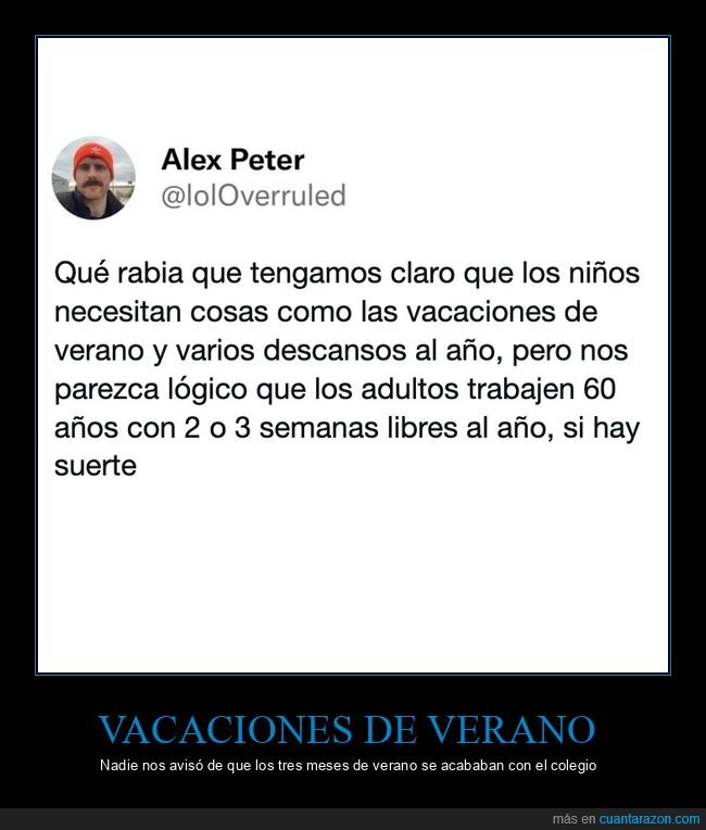 vacaciones,trabajo,verano,vida adulta,tuit