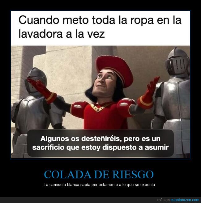 lavadora,ropa,colada,shrek,tareas dom&eacute;sticas