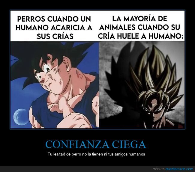 perros,animales,cr&iacute;as,instinto,DragonBall