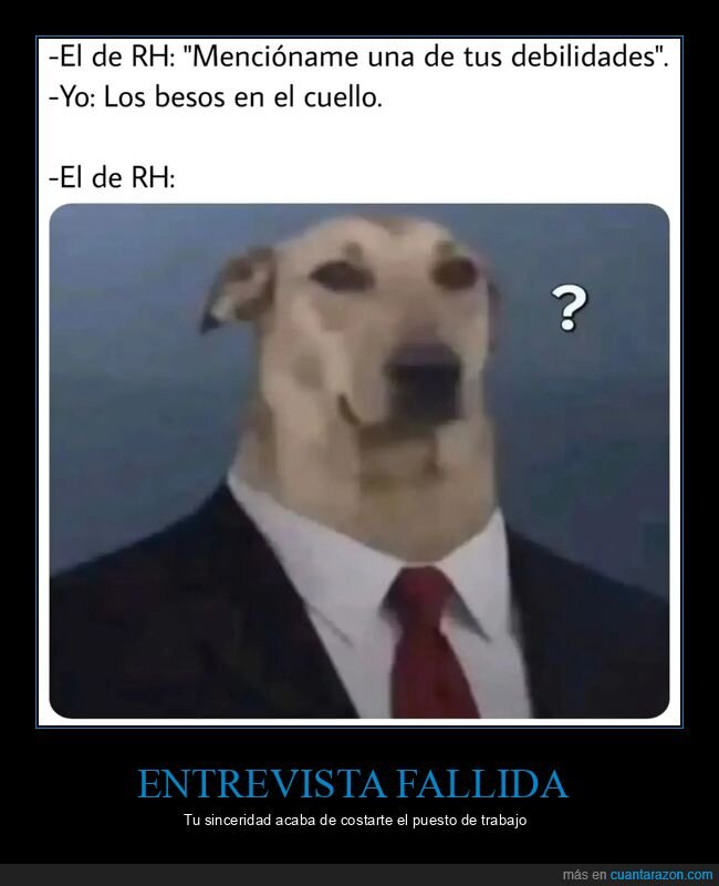 entrevista,trabajo,debilidades,perro,recursoshumanos