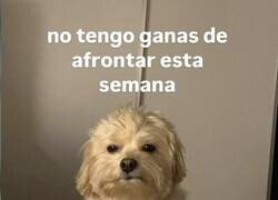 Enlace a Esta semana no tengo ganas de nada