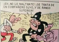 Enlace a En la policía hasta el cerdo tiene más rango
