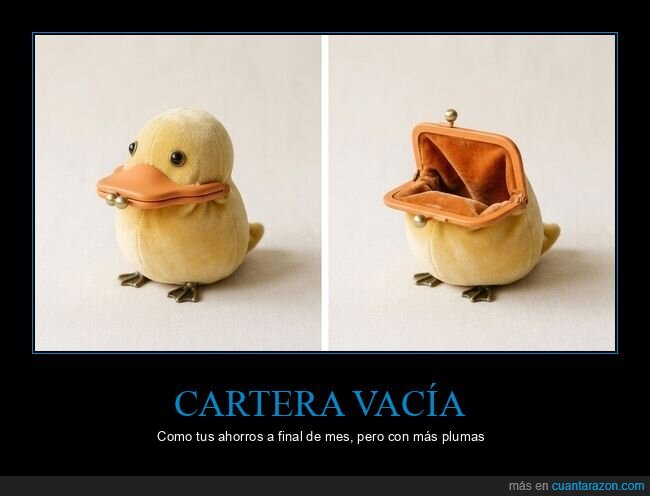 pato,monedero,peluche,ahorros,dinero