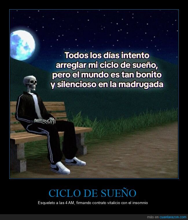 insomnio,madrugada,esqueleto,banco,noche